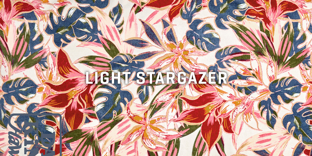 Light Stargazer