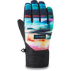 Gant Crossfire - W20 - Glitch - Men's Snowboard & Ski Glove | Dakine