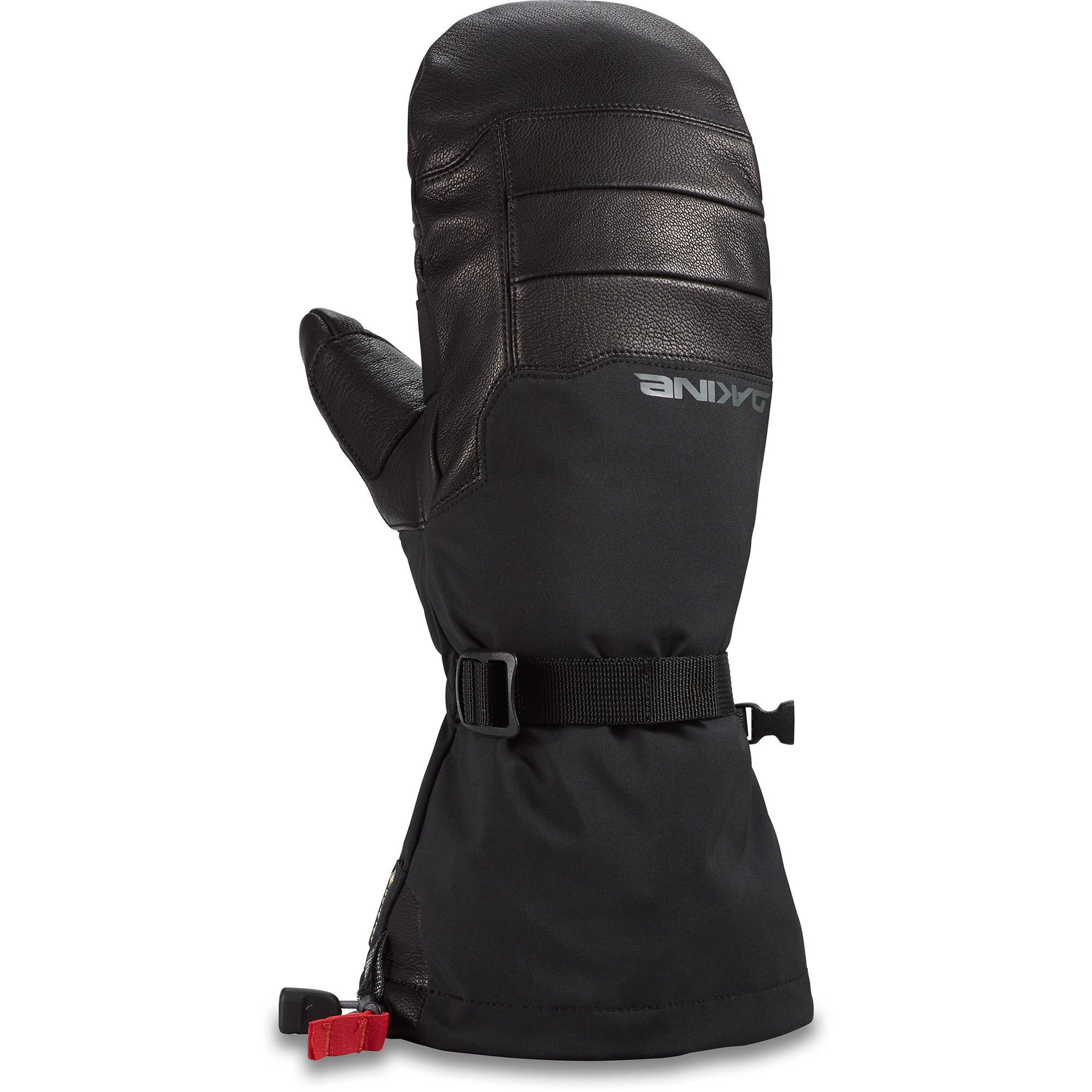 Phoenix GORE-TEX Mitt – Dakine